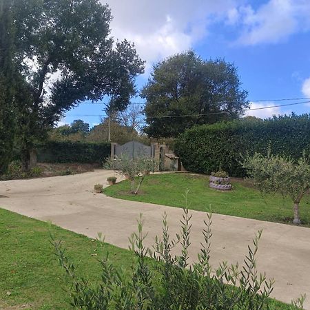Tenuta Quadrone Cura di Vetralla Esterno foto